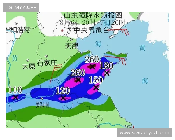 半岛体育网址赛事直播频道全覆盖满足不同用户的多样化观看需求