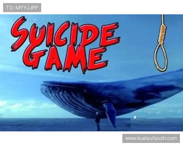 蓝鲸官方下载平台，提供全面的游戏版本更新与补丁下载服务